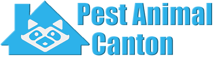 Canton Wildlife and Animal Removal